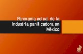 Panorama actual de la industria panificadora en México