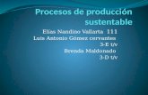 Procesos de-produccion-sustentable