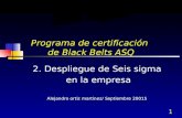 Seis sigma  Black Belts ASQ