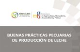 BUENAS PRÁCTICAS PECUARIAS DE PRODUCCIÓN DE LECHE