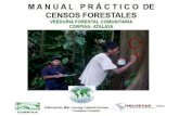 Procedimiento básico para realizar el censo forestal
