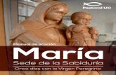 Manual Virgen Peregrina 2016