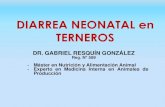 Diarrea en terneros . Dr. Gabriel Resquín