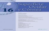 Revista Superficie Ocular y Córnea nº 16