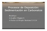 Procesos de Deposición: Sedimentación en Carbonatos Procesos ...