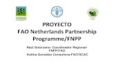 FAO Netherlands Partnership Programme/FNPP Centroamérica