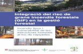 Integració del risc de grans incendis forestals (GIF) en la gestió ...