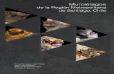 Murciélagos de la Región Metropolitana de Santiago, Chile