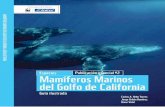 Mamíferos Marinos del Golfo de California