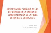Identificación Y Análisis De Las Deficiencias En La Cadena De ...