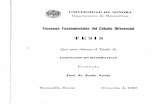Teoremas Fundamentales del Cálculo Diferencial TESIS