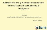 Extractivismo y nuevos escenarios de resistencia campesina e ...
