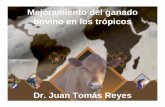 Mejoramiento del ganado bovino en los trópicos Dr. Juan Tomás ...