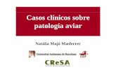 Casos clínicos sobre patología aviar p g