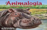 Analogías de Animales - Arbordale Publishing