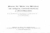 Razas de Maíz en México, su origen, características y distribución