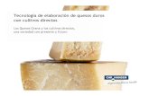Tecnología de elaboración de quesos duros con cultivos directos ...
