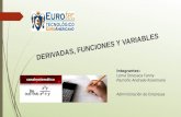 DERIVADAS, FUNCIONES Y VARIABLES EUROTEC