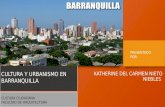 Cultura Barranquilla