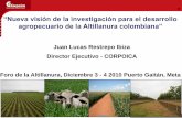Descargar Presentación CORPOCIA - III Foro de la Altillanura ...