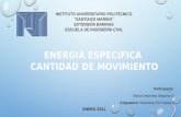 Energia especifica, cantidad de movimiento