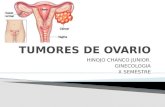 Tumores de ovario  2015 gineco