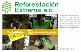 Reforestacion Extrema Portfolio