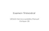 Uesjls 2012-Herrera Manuel-1B-examen trimestral