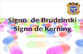 Signo de Brudzinski y de Kerning - Elyz A. Cortez López