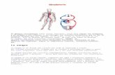 El aparato circulatorio. enfermedades