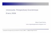 Venezuela: Perspectivas Economicas (Enero, 2009)