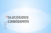 Glucosidos Cianogenicos Presentacion