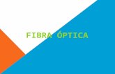 Fibra optica fany 1c