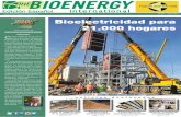 Publicación The Bioenergy