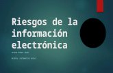 Riesgos de la información electronica (1)