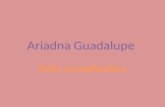 Ariadna guadalupe