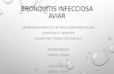 Bronquitis infecciosa aviar (1)