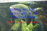 Biotecnología aplicada a la acuicultura
