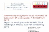Informe Reuniones de Bloque 2016 MFC en México