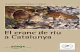 El cranc de riu a Catalunya