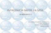 Introducir datos en SPSS Encarni Ayalop