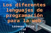Lenguaje de programción en internet