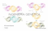 Ingeniería genética Presentación