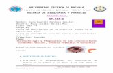 Practica11 intoxicacinporhierro