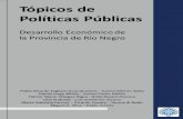 Tópicos de Políticas Públicas. Desarrollo económico de la provincia ...