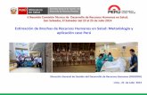 Estimación de Brechas de RHUS. Metodología y aplicación caso Perú