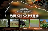 Regiones Agropecuarias 2015 (MGAP)