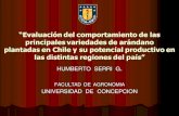 prof. humberto serri - univ. concepción chile