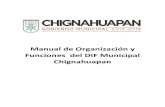 Manual de Organización y Funciones del DIF Municipal ...