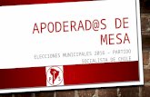 Apoderadas de mesa Partido Socialista Atacama